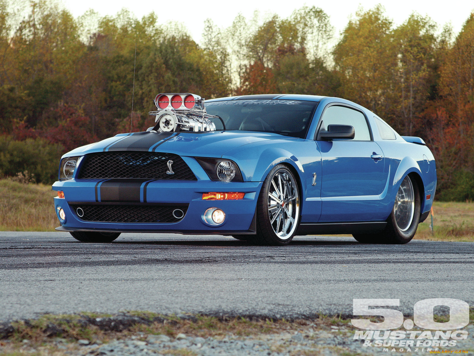 , hotrod, dragster, mustang2